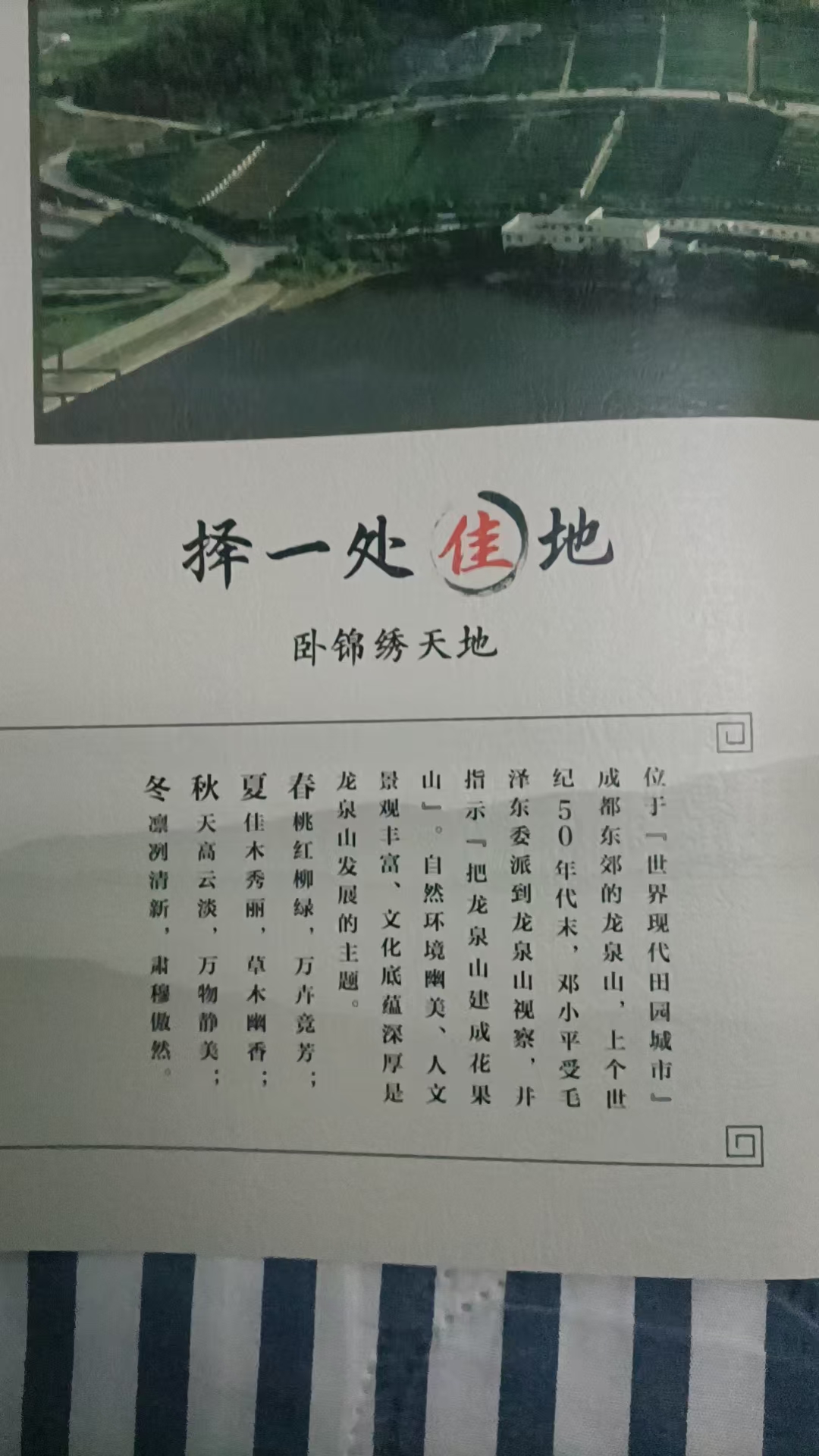 园区鸟瞰宣传页