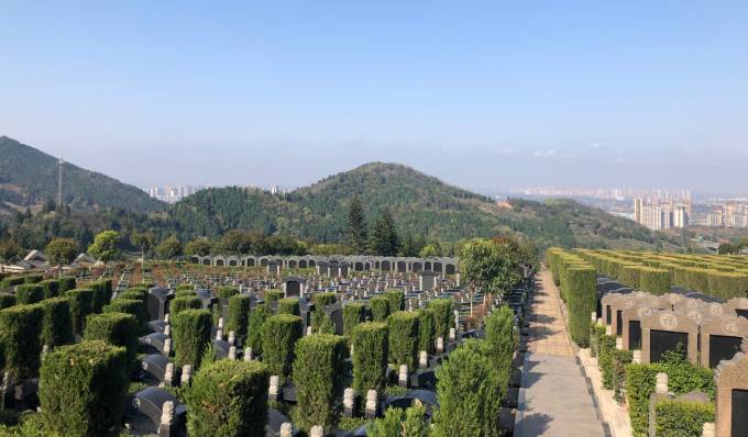 园区实景全景照片