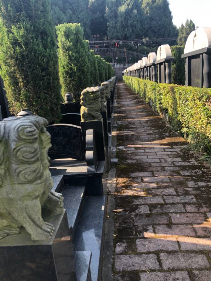 墓区园路照片