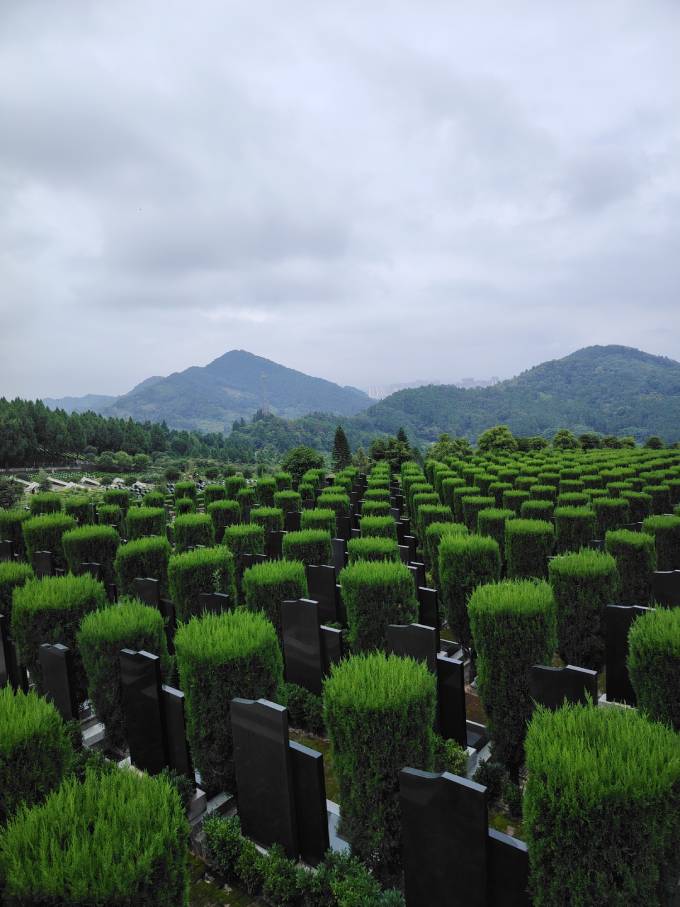 园区绿化墓区照片